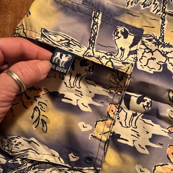 Bid Dog men’s swim trunks - Picture 2 of 5